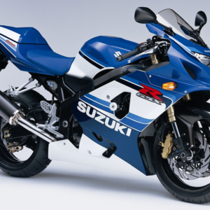 Suzuki GSX R 600 20th Anniversary 2005 decals kit